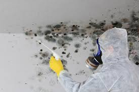 Best Commercial Mold Inspection in Thomaston, GA